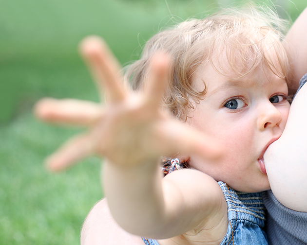 Breastfeeding Your Toddler